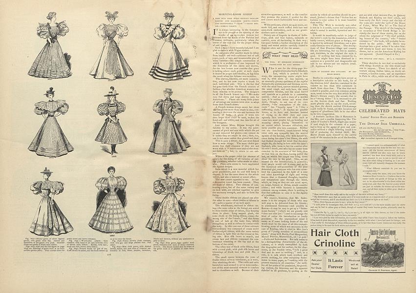 What They Read: The Wish. By Hermann Sudermann, Translated by Lily Henkel