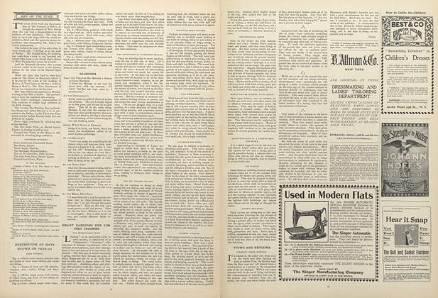 Smart Fashions for Limited Incomes: The Extravagant Mode