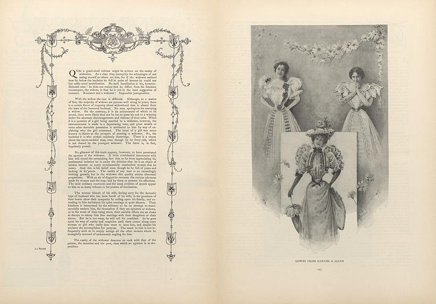 Social Essay: Vanity of the Widower