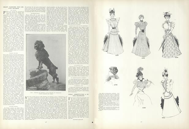 Smart Fashions for Limited Incomes