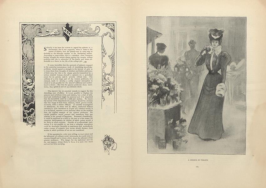 Social Topics: The Spinster