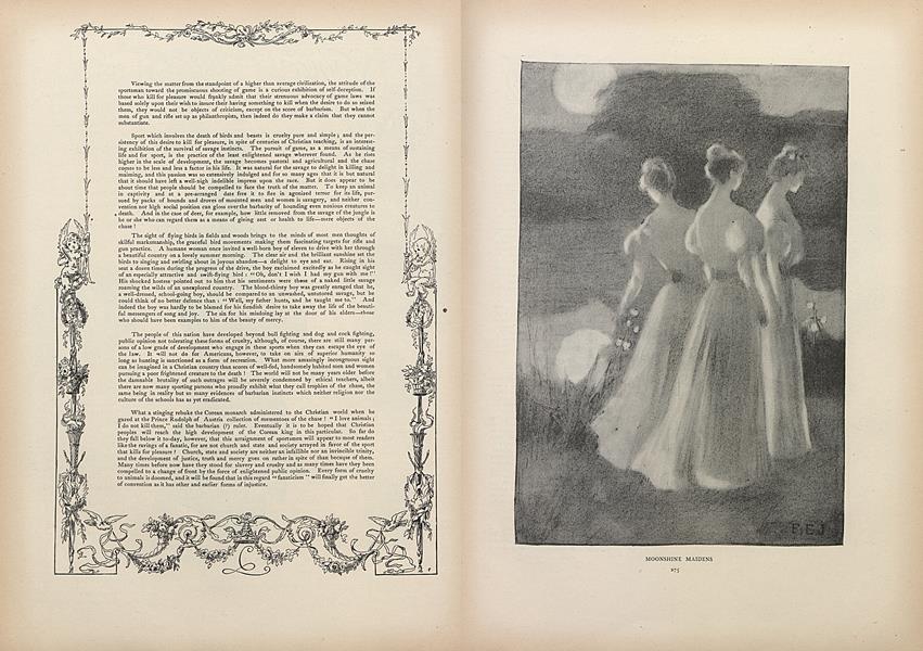 Social Topics: The Savagery of Sport