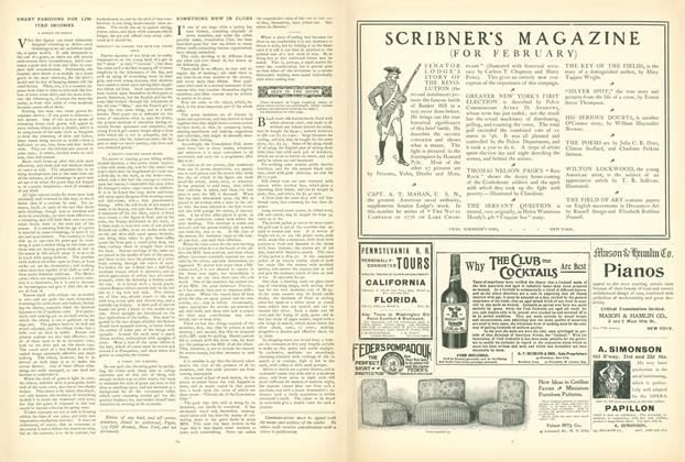 Smart Fashions for Limited Incomes: A Homily on Skirts