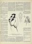 Page: - vii | Vogue
