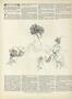 Page: - 12 | Vogue