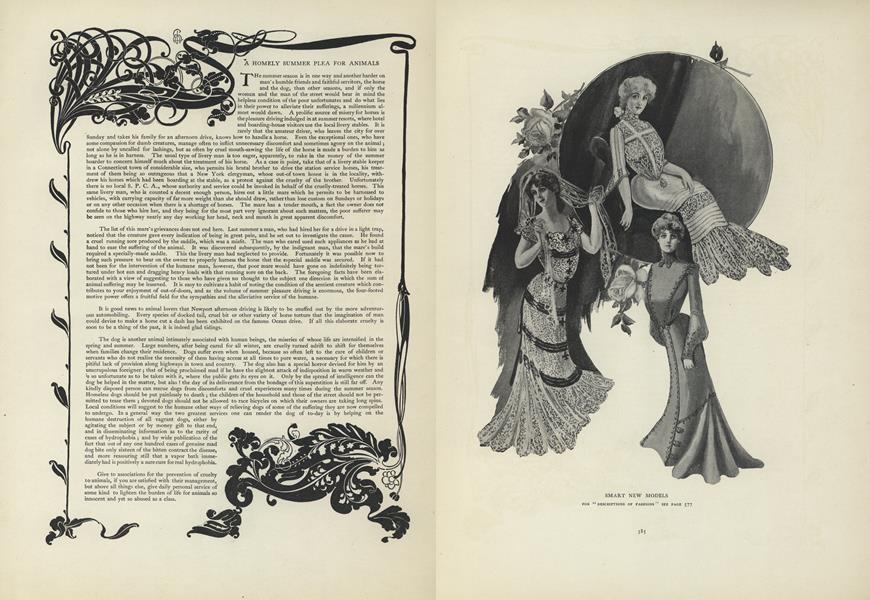 A Homely Summer Plea for Animals