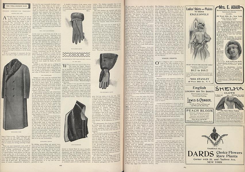 Bad Manners of New York Club Men