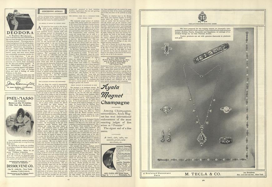 An Appeal in Behalf of Canary Birds