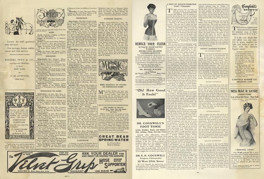 Hardy Garden Plants Vogue June 13, 1907