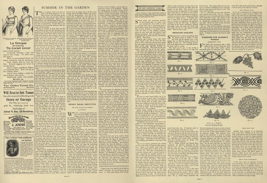 Summer in the Garden