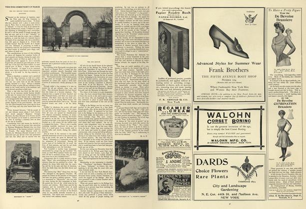 The Dog Cemetery of Paris