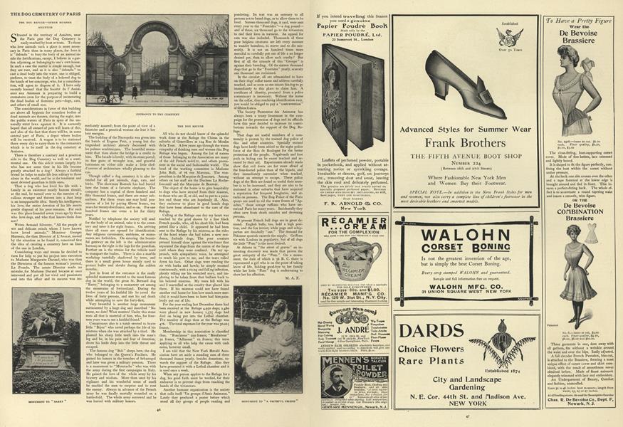 The Dog Cemetery of Paris