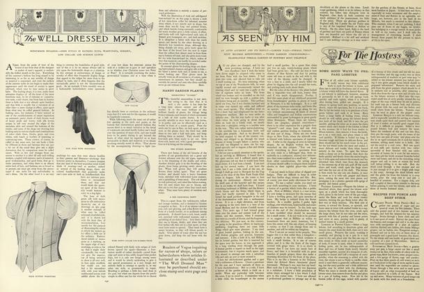 The Well Dressed Man