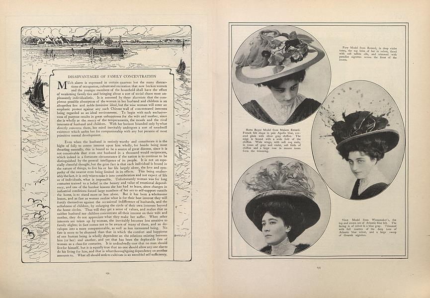 Disadvantages of Family Concentration