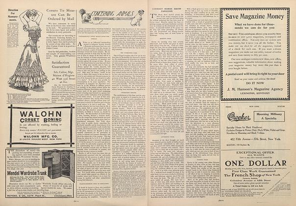 Correct Horse Show Fashions