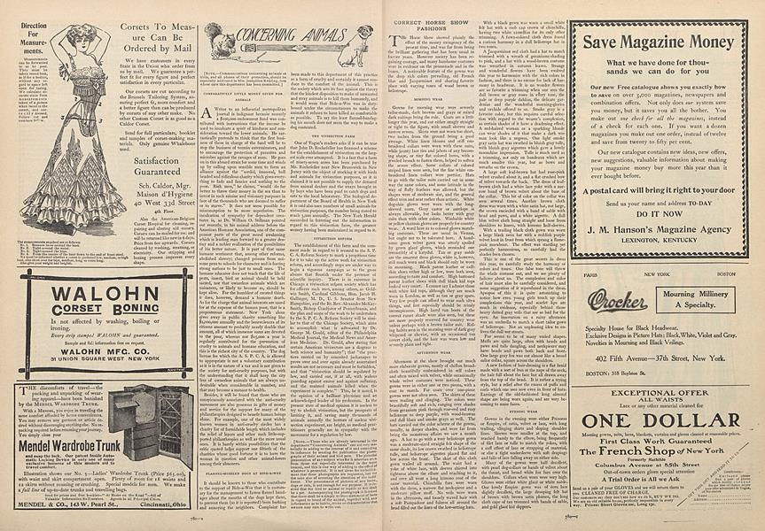 Correct Horse Show Fashions