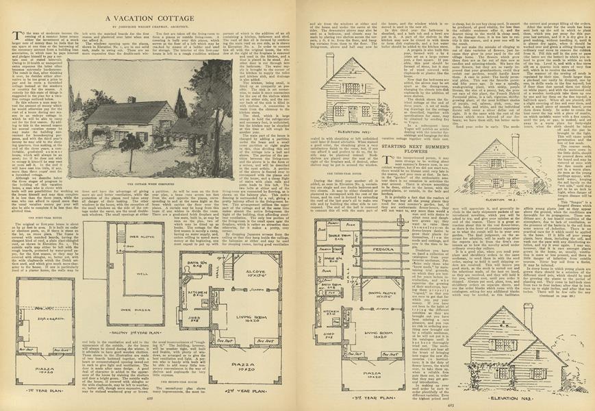 Starting Next Summer's Flowers