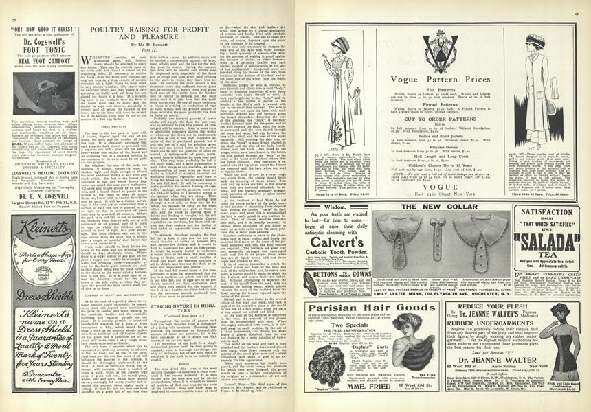 Poultry Raising for Profit and Pleasure