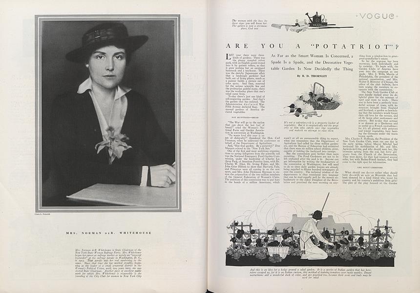 Are You a "Potatriot"?