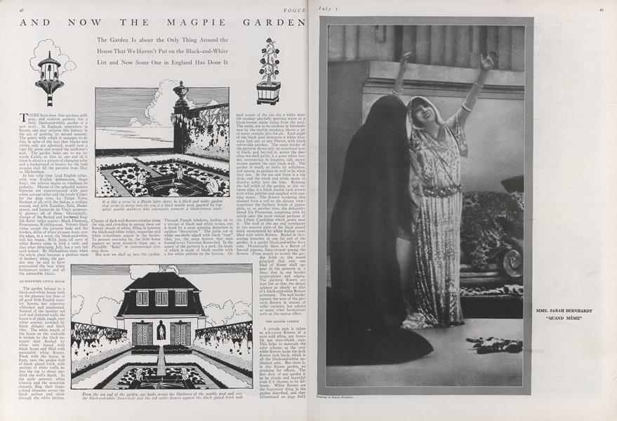 And Now the Magpie Garden