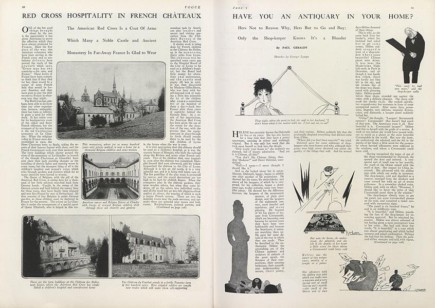 Have You an Antiquary in Your Home?