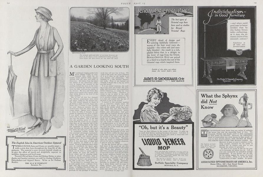 A Garden Looking South