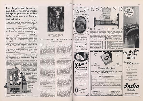 Honolulu in the Summer Sea