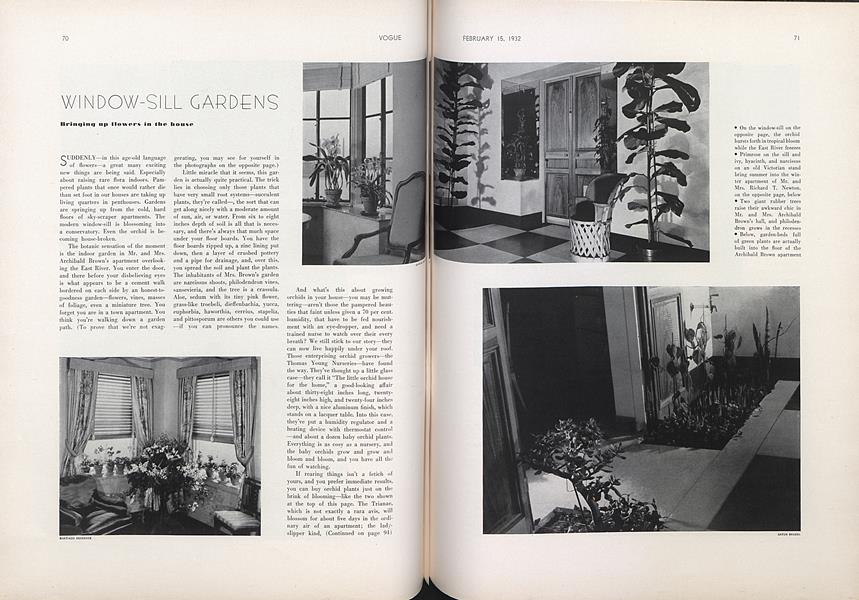 Window Sill Gardens Vogue February 15 1932