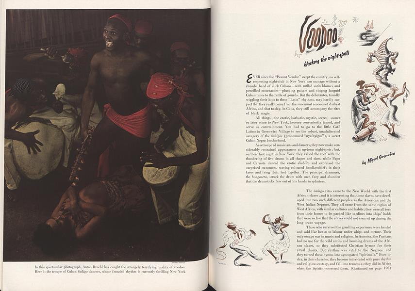 Voodoo Blackens the Night-Spots