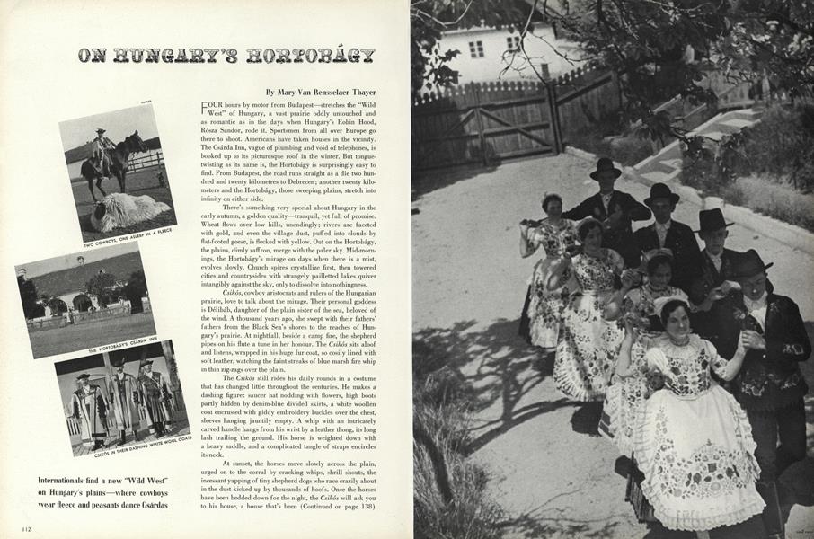 On Hungary's Hortobagy