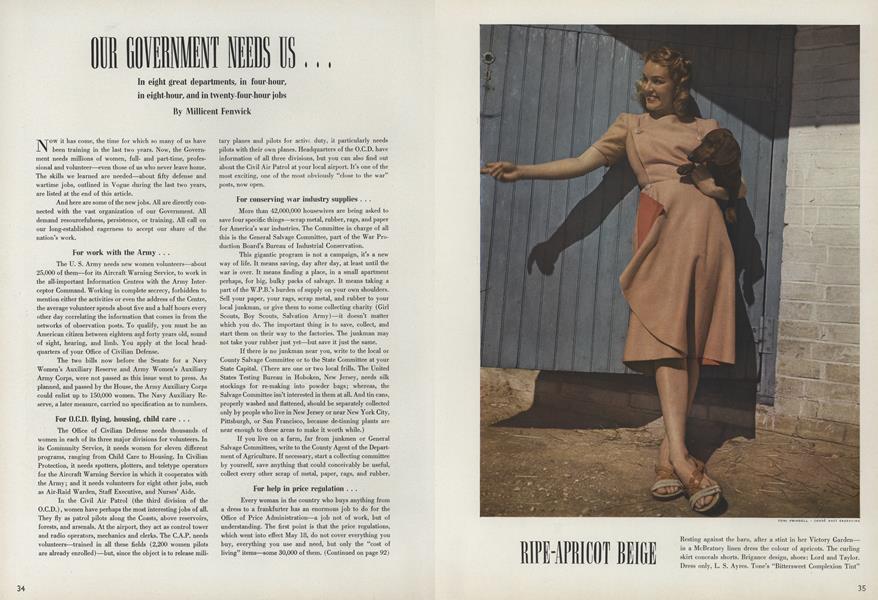 Our Government Needs Us...