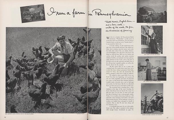 I Run a Farm in Pennsylvania