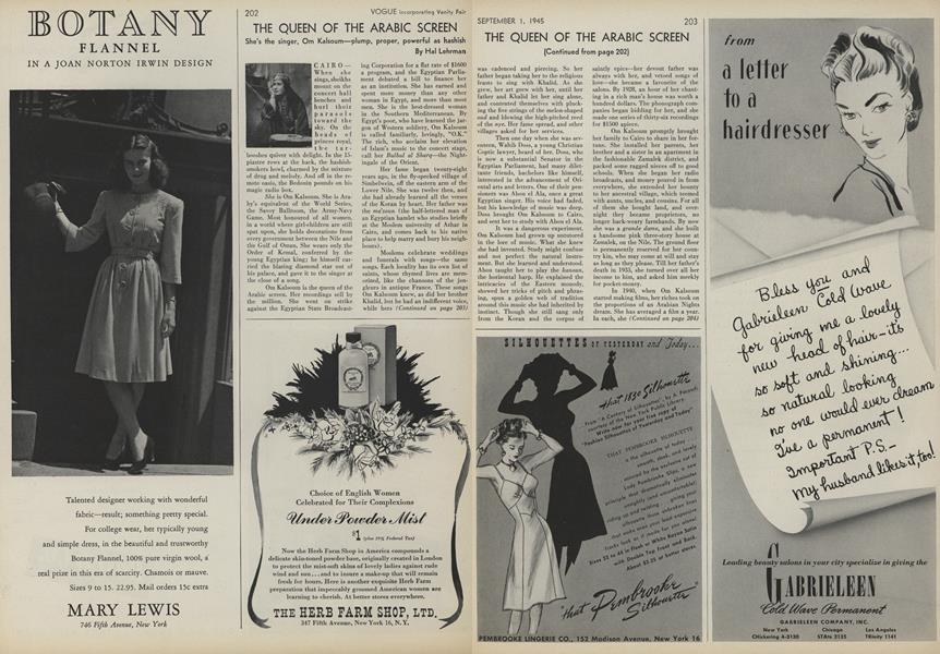 The Queen of the Arabic Screen