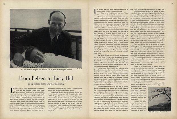 From Belsen to Fairy Hill