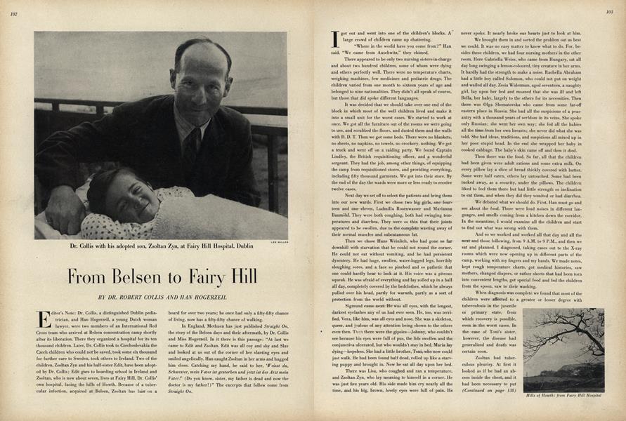 From Belsen to Fairy Hill