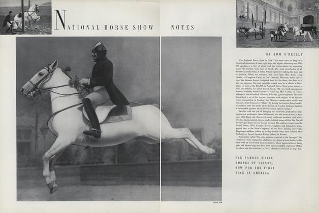 National Horse Show Notes