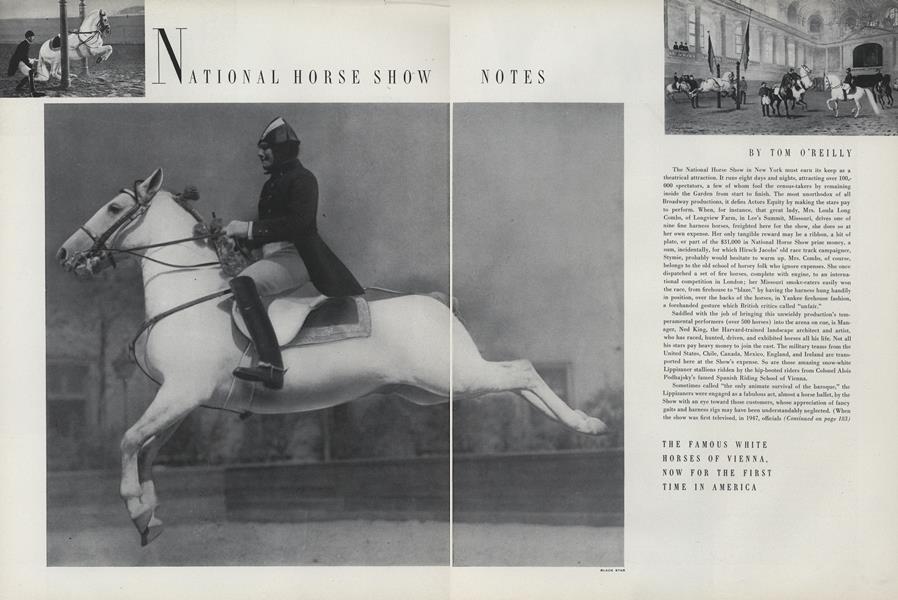 National Horse Show Notes