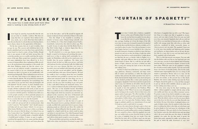 The Pleasure of the Eye