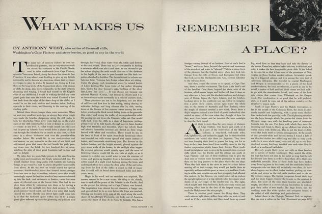 What Makes Us Remember a Place?