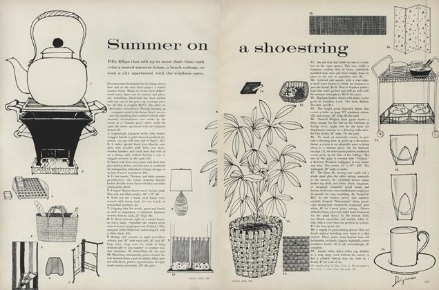 Summer on a Shoestring