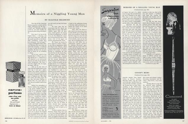 Memoirs of a Niggling Young Man