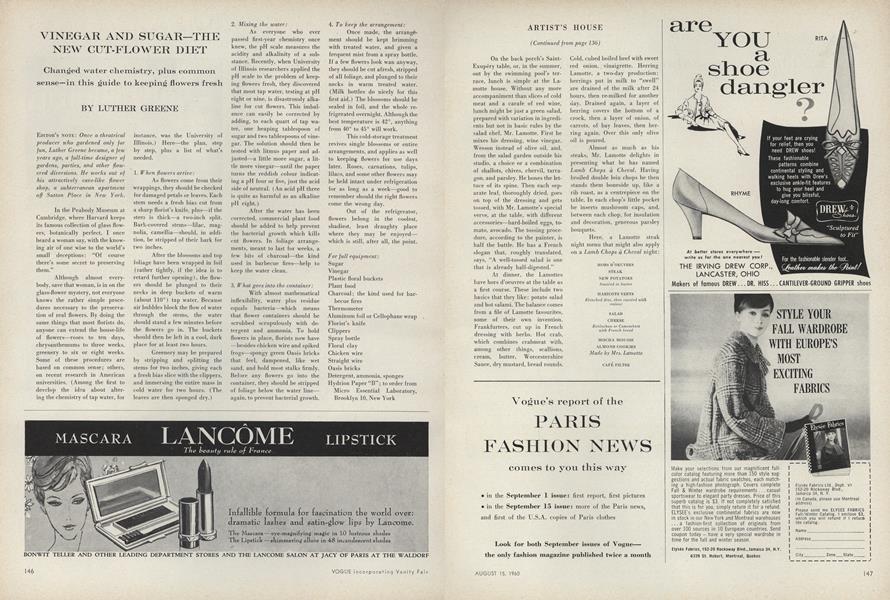Vinegar and Sugarthe New CutFlower Diet Vogue AUGUST 15, 1960