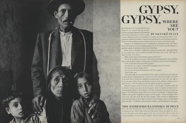 Gypsy, Gypsy, Where are You?