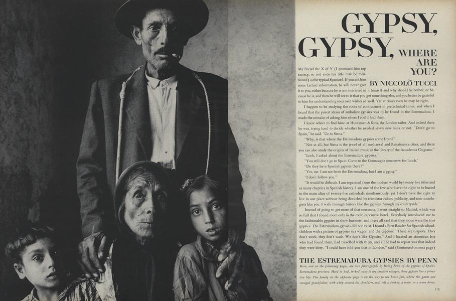 Gypsy, Gypsy, Where are You?