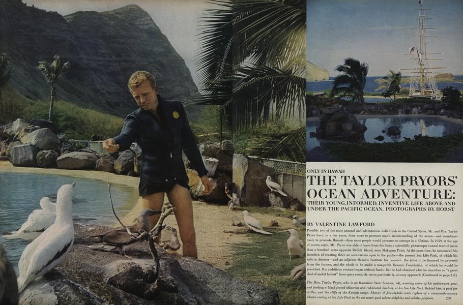Only in Hawaii: The Taylor Pryor's Ocean Adventure