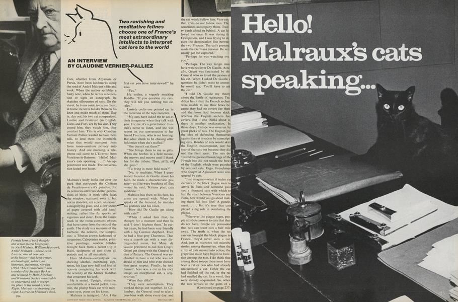 Hello! Malraux's cats speaking...