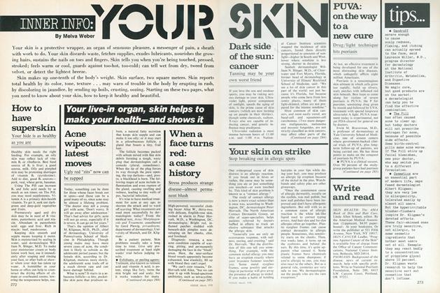 Inner Info: Your Skin