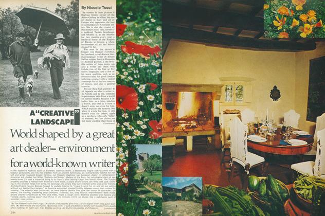 A "Creative" Landscape