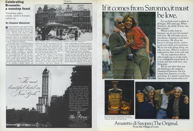 Celebrating Brussels: A Nonstop Feast