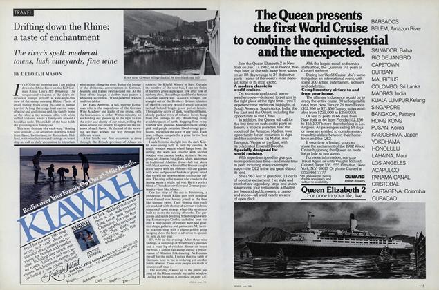 Drifting Down the Rhine: A Taste of Enchantment